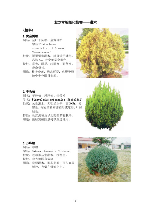 北方园林绿化常用植物-灌木