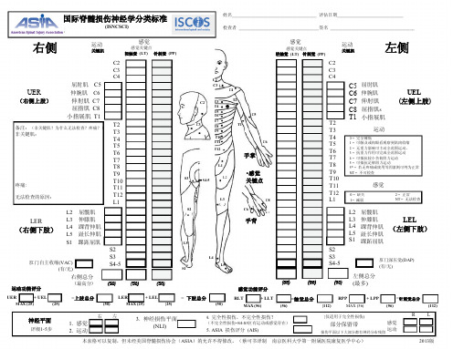 国际脊髓损伤神经学分类标准-2013版