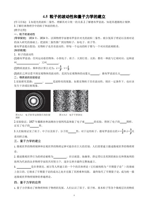 4.5 粒子的波动性和量子力学的建立