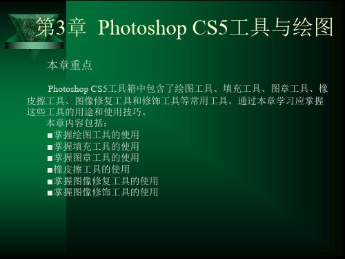 第3章  Photoshop CS5工具与绘图