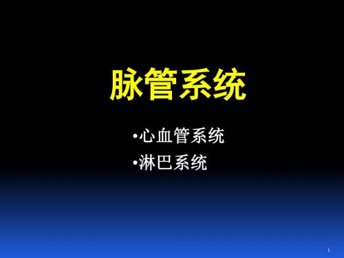 人体解剖与组织胚胎学 第七章脉管系统(概述 心)