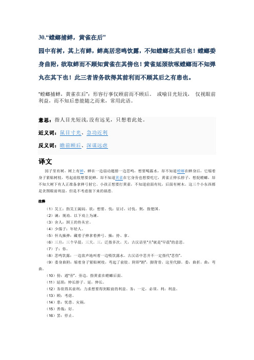 螳螂捕蝉,黄雀在后分析