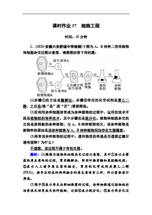 人教版高考生物大一轮总复习第37讲细胞工程