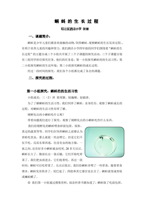 蝌蚪的生长过程-泗泾小学