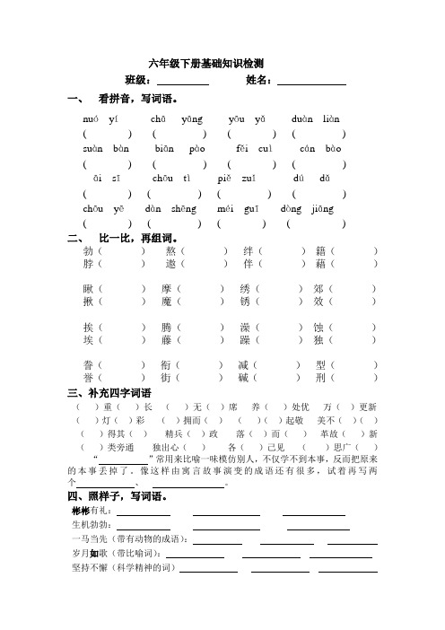 六年级下册基础知识检测
