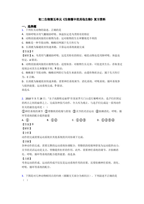 初二生物第五单元《生物圈中的其他生物》复习资料