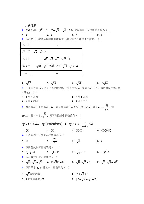 (必考题)初中数学八年级数学上册第二单元《实数》检测(包含答案解析)(3)