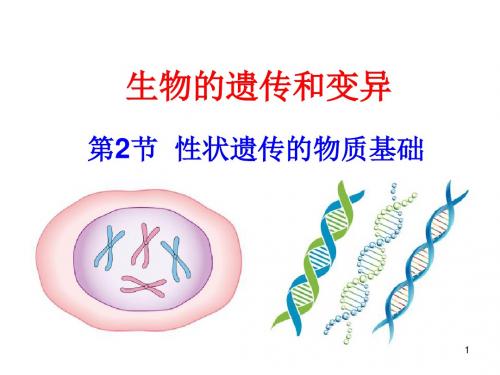 20.2性状遗传的物质基础PPT演示课件