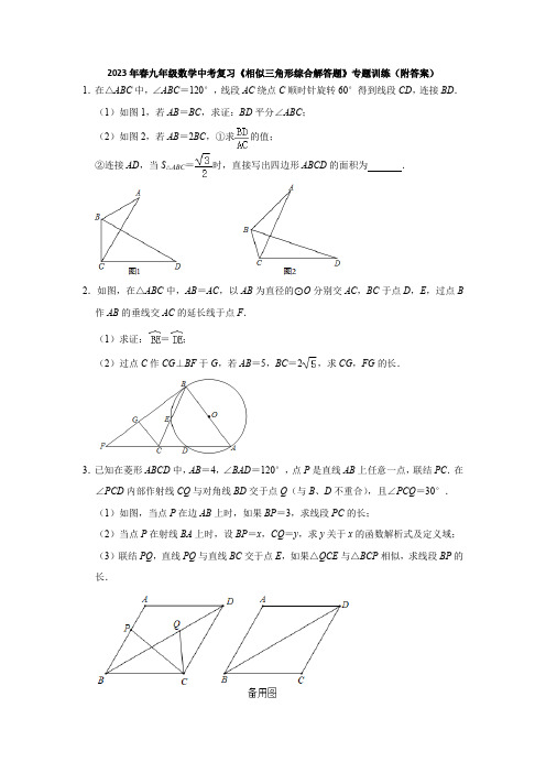 2023年+九年级数学中考复习+相似三角形综合解答题+专题训练+