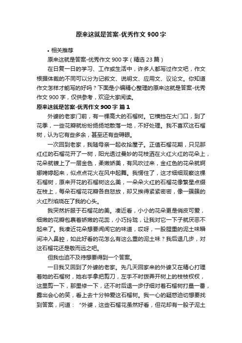 原来这就是答案-优秀作文900字