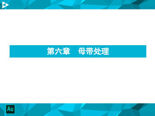 Adobe Audition第6章