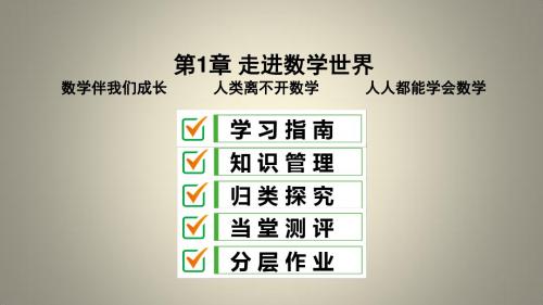 七年级数学上册 第1章 走进数学世界课件 (新版)华东师大版