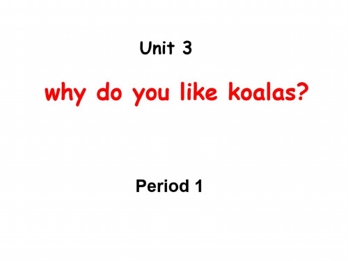 七年级英语why-do-you-like-koalas课件1(1)_6620