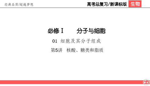 2021届一轮复习人教版 1-5 核酸、糖类和脂质 课件(41张)