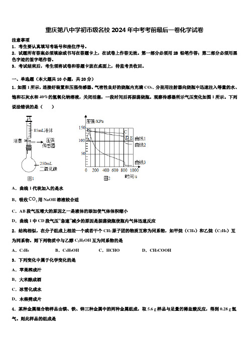 重庆第八中学初市级名校2024届中考考前最后一卷化学试卷含解析