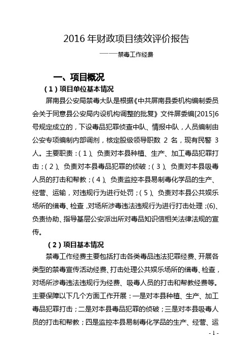 2016年财政项目绩效评价报告