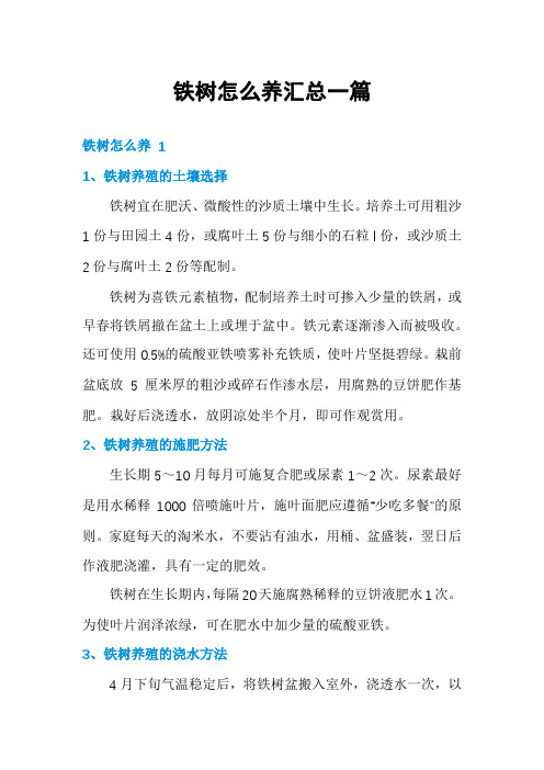 铁树怎么养汇总一篇