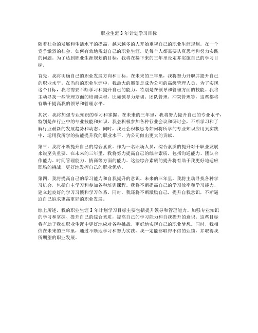 职业生涯3年计划学习目标