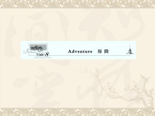 2011届安徽省高考英语一轮复习精品资料Unit 8 Adventure 历险