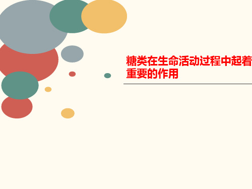 糖类在生命活动过程中起着重要的作用-PPT文档资料