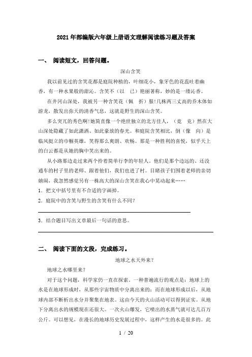 2021年部编版六年级上册语文理解阅读练习题及答案