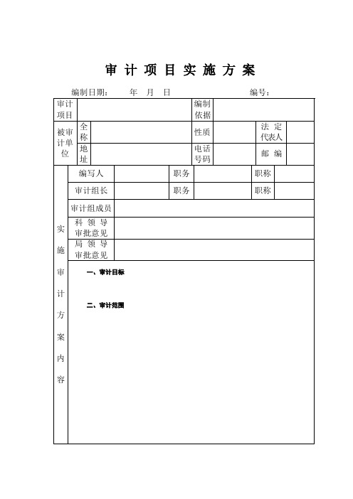 审 计 项 目 实 施 方 案(模板)