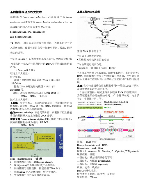 基因操作技术