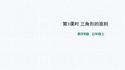 五年级上册数学课件 6.2三角形面积(1) 人教版 (共33张PPT)