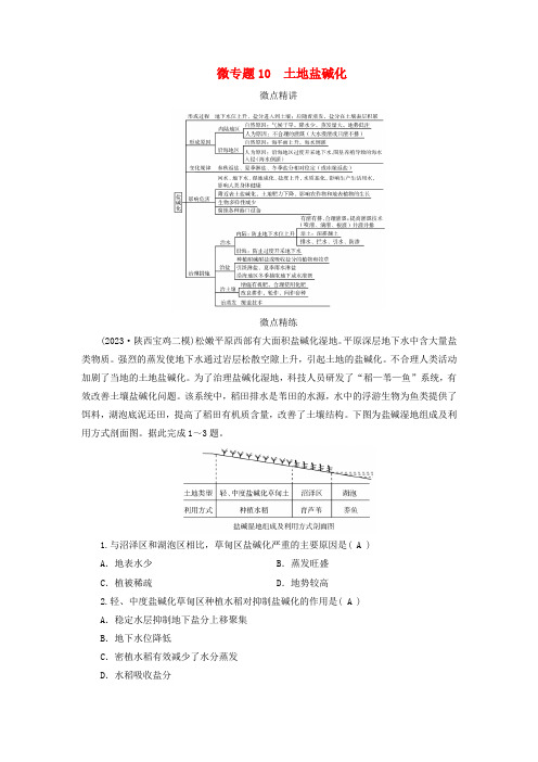 新教材适用2024版高考地理二轮总复习第1部分专题突破专题10资源环境产业与区域发展微专题10土地盐