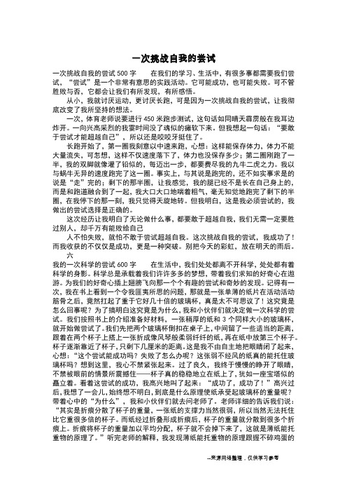 一次挑战自我的尝试_六年级作文