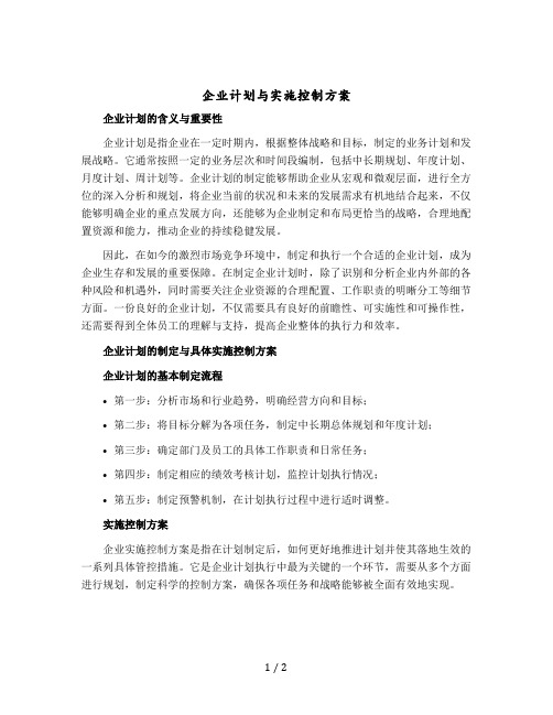 企业计划与实施控制方案