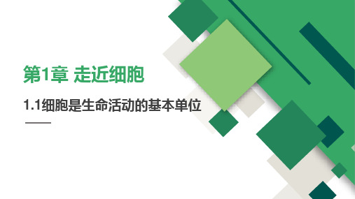 【课件】细胞是生命活动的基本单位课件-2022-2023学年高一上学期生物人教版(2019)必修1