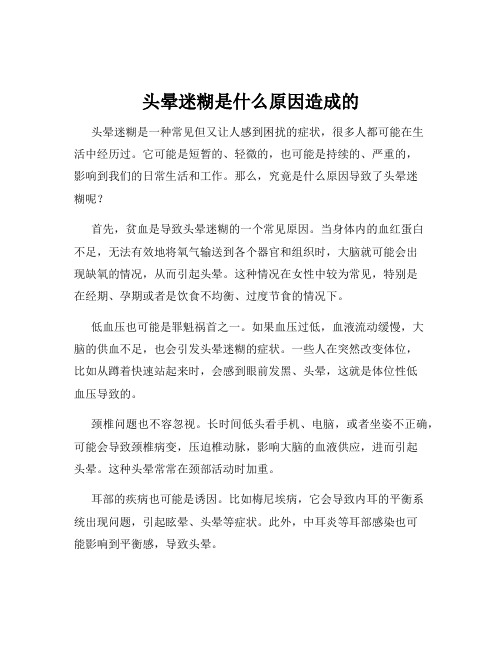 头晕迷糊是什么原因造成的