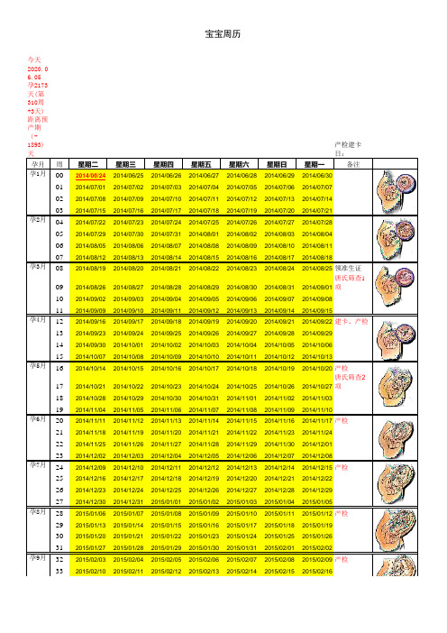 胎儿周历(查询预产期+产检)