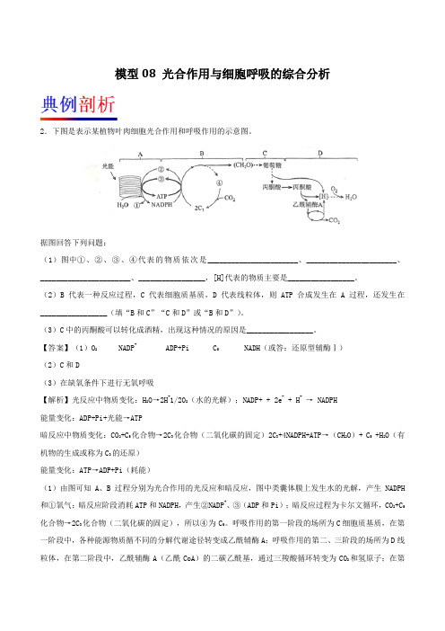 【推荐】模型08+光合作用与细胞呼吸的综合分析-备战2018年高考生物之模型解题法