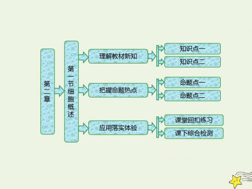 高中生物第二章第一节细胞概述课件浙科版必修1