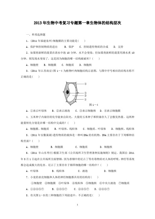 生物中考复习专题一 生物体的结构层次