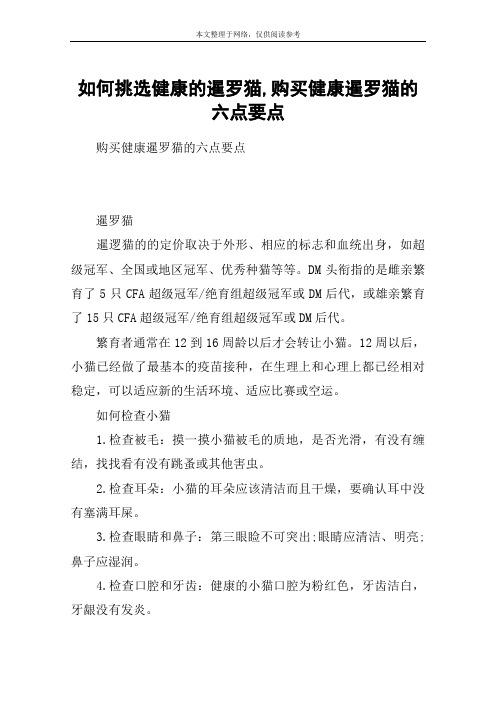 如何挑选健康的暹罗猫,购买健康暹罗猫的六点要点