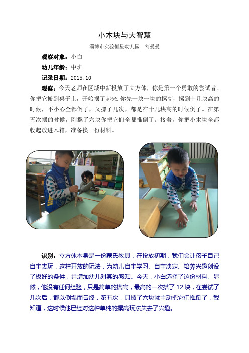 幼儿园观察记录学习故事：小木块与大智慧