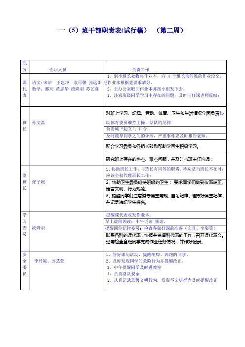 一5班干部职责具体分工表