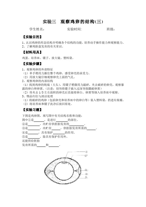 观察鸡卵的结构实验报告