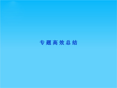 高考历史优化方案一轮总复习课件专题八专题高效总结((人民版)