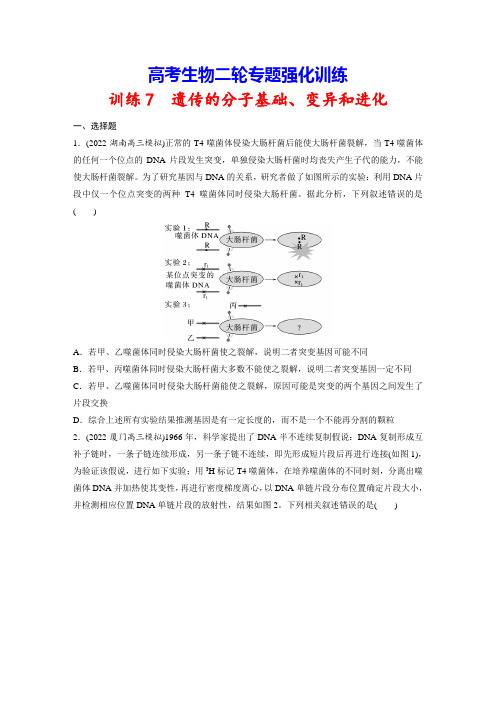 高考生物二轮专题强化训练7 遗传的分子基础、变异和进化