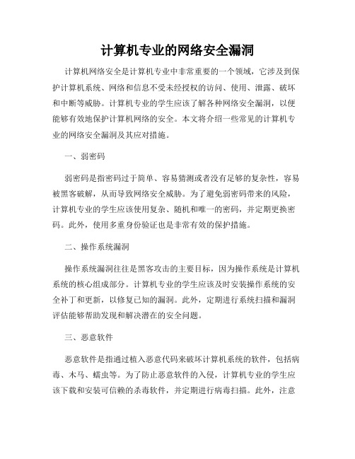 计算机专业的网络安全漏洞