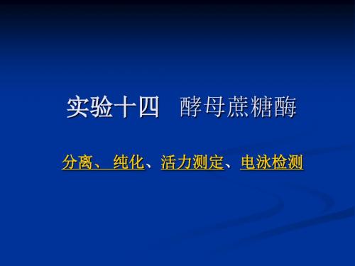 实验十四___酵母蔗糖酶的提取纯化及活力测定