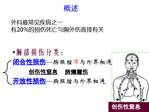 胸腹部损伤精品PPT课件