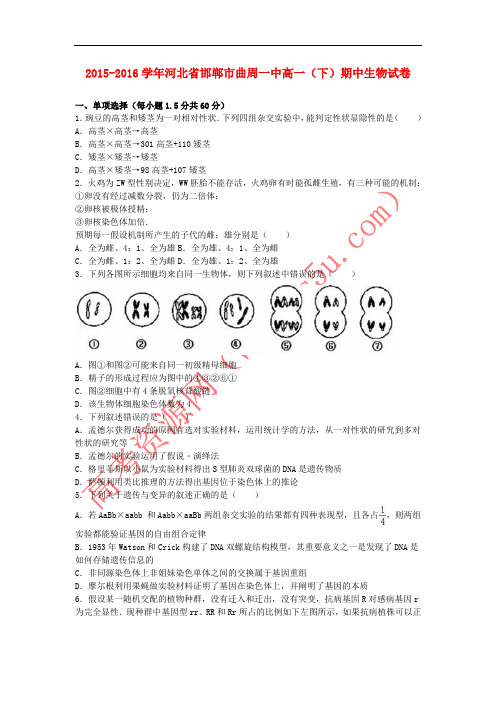 河北省邯郸市曲周一中2015-2016学年高一生物下学期期中试卷(含解析)