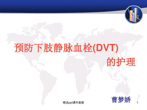 下肢深静脉血栓形成的护理PPT课件