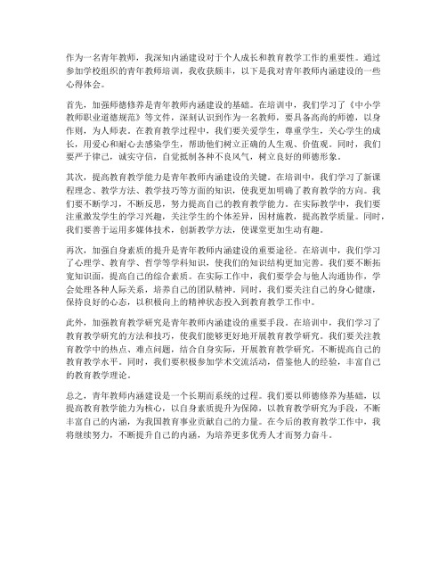 青年教师内涵建设心得体会