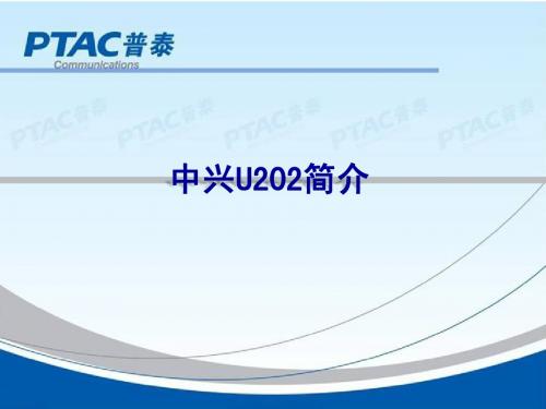 ZTE-U202简介